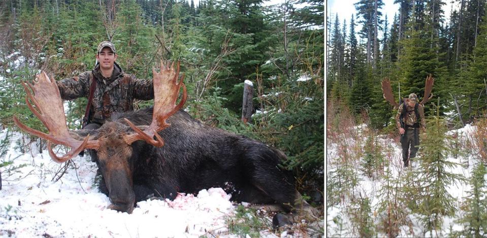 Moose hunting