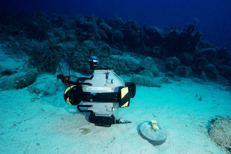 Ancient 'Acropolis of the sea' opens to visitors with AI