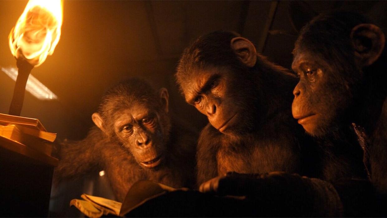  Kingdom of the Planet of the Apes still. 