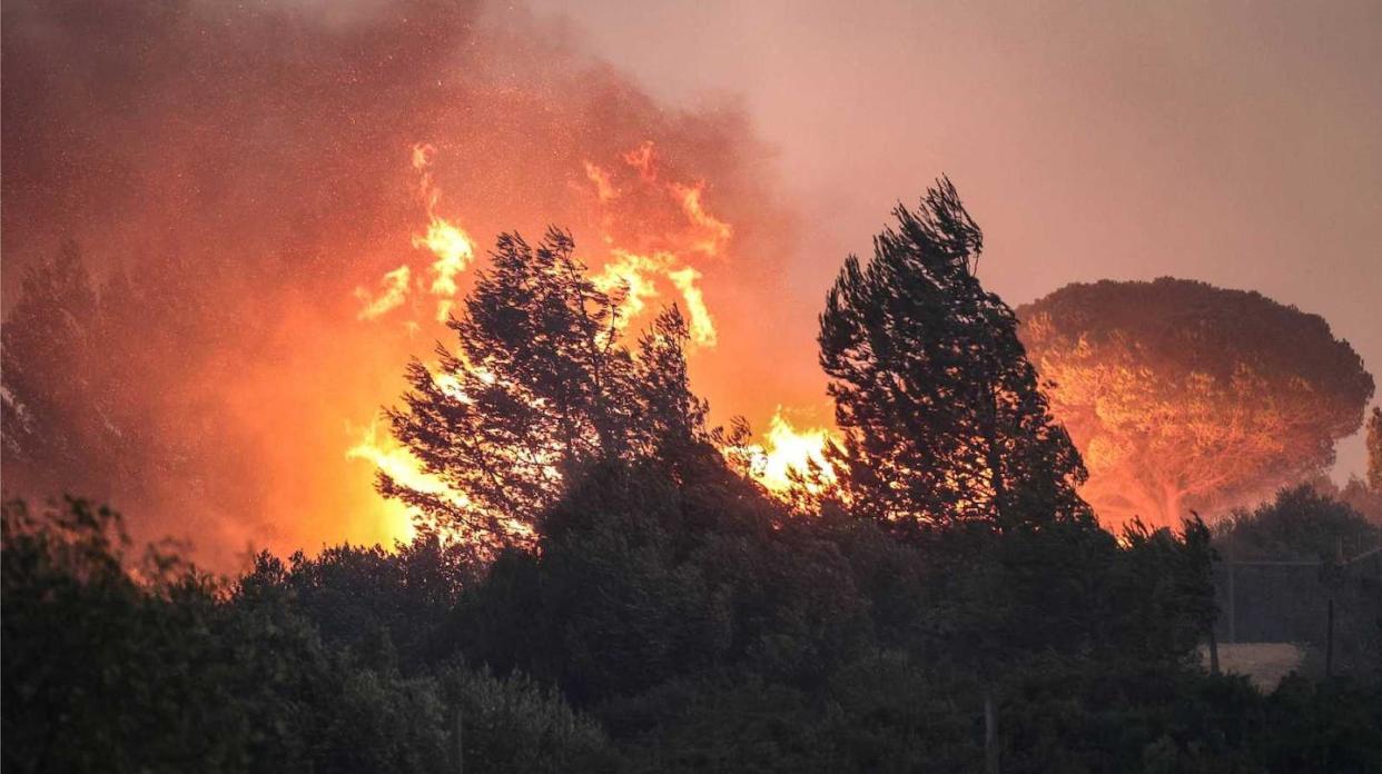 Los incendios se expanden por Grecia, Túnez, Argelia, Italia y Portugal. <a href="https://www.rtve.es/noticias/20230726/incendios-mediterraneo/2452834.shtml" rel="nofollow noopener" target="_blank" data-ylk="slk:RTVE;elm:context_link;itc:0;sec:content-canvas" class="link ">RTVE</a>