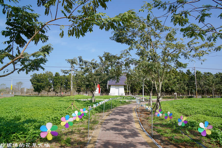 屏東新埤鄉綜合休閒公園｜向日葵花海