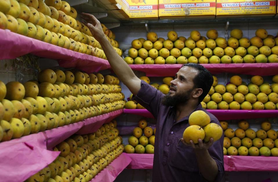 In this Tuesday, May 6, 2014 photo, an Indian vendor displays Alphonso mangoes at a whole sale market in Mumbai, India. Starting May 1, the EU banned imports of Indian mangoes including the Alphonso, considered the king of all the mango varieties available in South Asia. The ban was implemented because a large number of shipments were contaminated with fruit flies. (AP Photo/Rajanish Kakade)