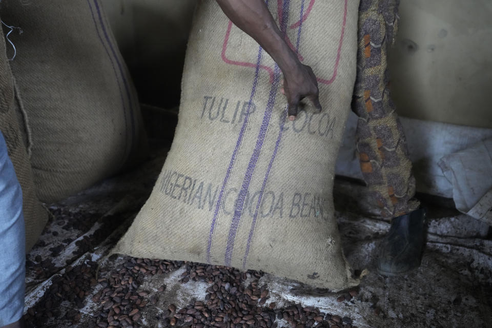 A bag marked Tulip Cocoa is seen inside a warehouse at Aba Panu farms sector of the conservation zone in the Omo Forest Reserve in Nigeria, Monday, Oct. 23, 2023. Farmers, buyers and others say cocoa heads from deforested areas of the protected reserve to companies that supply some of the world’s biggest chocolate makers. (AP Photo/Sunday Alamba)