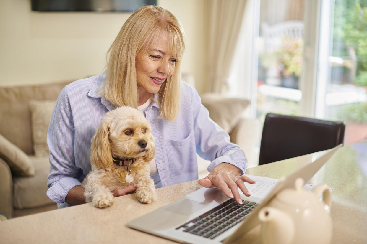 Pet insurance doesn't work like health insurance for humans, particularly when it's time to get reimbursed. Here's what to know. / Credit: Getty Images