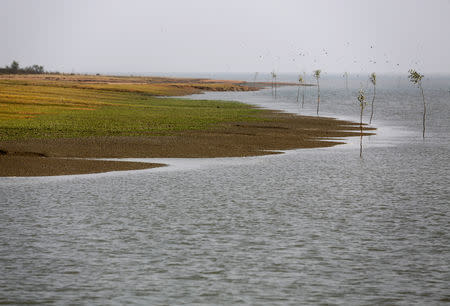 FILE PHOTO: A view of Bhasan Char island in the Bay of Bengal, Bangladesh, February 2, 2017. Picture taken Feb 2, 2017. REUTERS/Mohammad Ponir Hossain/File Photo