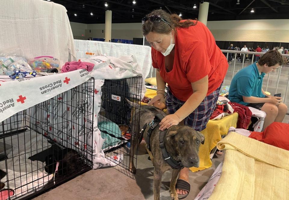 Heather Barker looks after her dog, Kellin, at the Ocean Center on Monday. Barker, her dog, three cats, her girlfriend and five children, had to leave their flooded home in the Fairway Estates subdivision in Daytona Beach. For now they live at a shelter run by the American Red Cross at the Ocean Center in Daytona Beach.