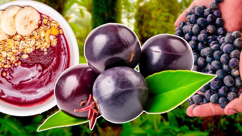 assorted forms of acai berry