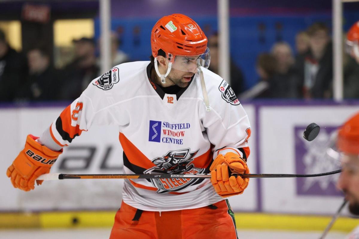 Eager leader Ciampini pledges to adopt any role for Sheffield Steelers