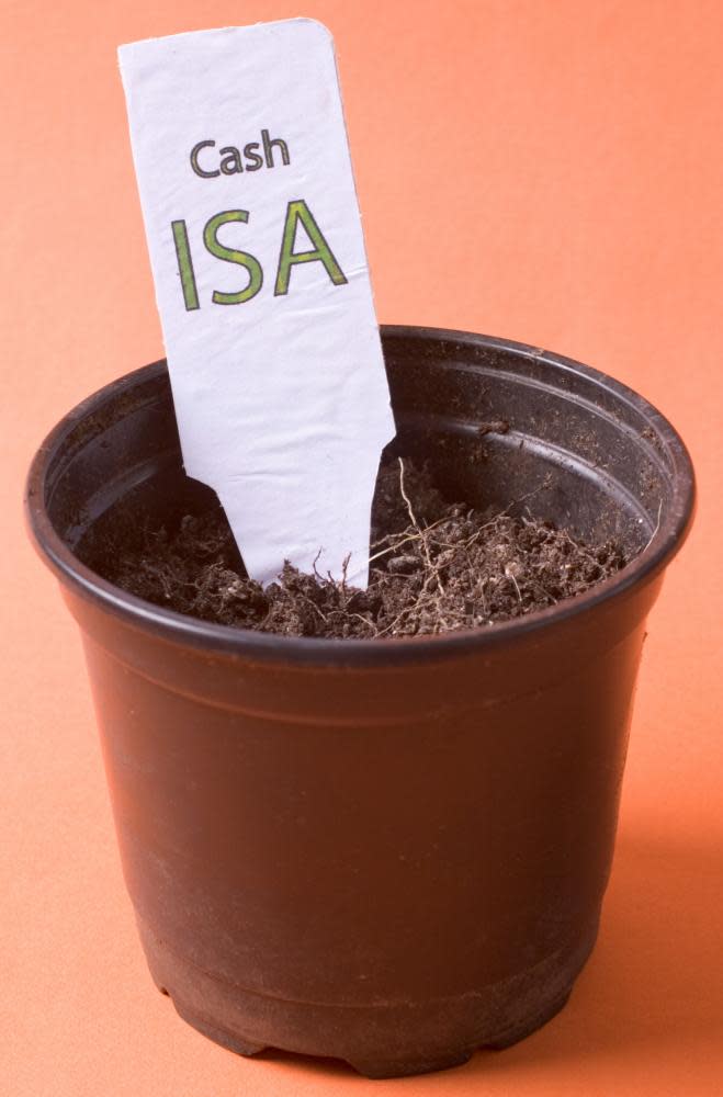 Cash isa label in plant pot with small shoots 