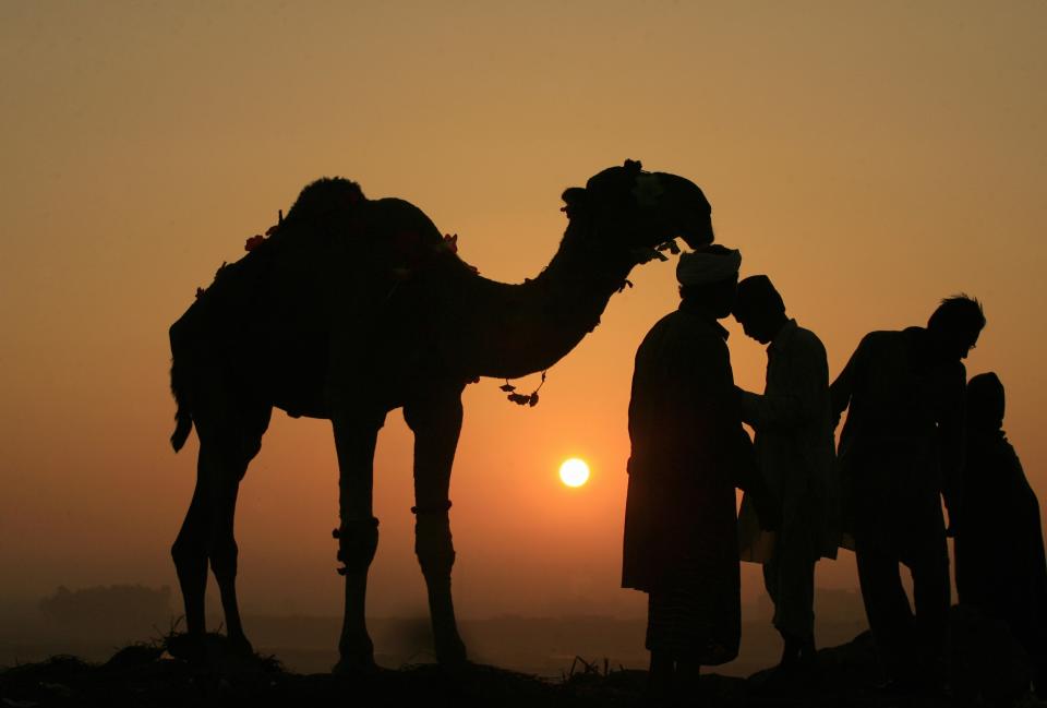 Photos of the day - October 14, 2013