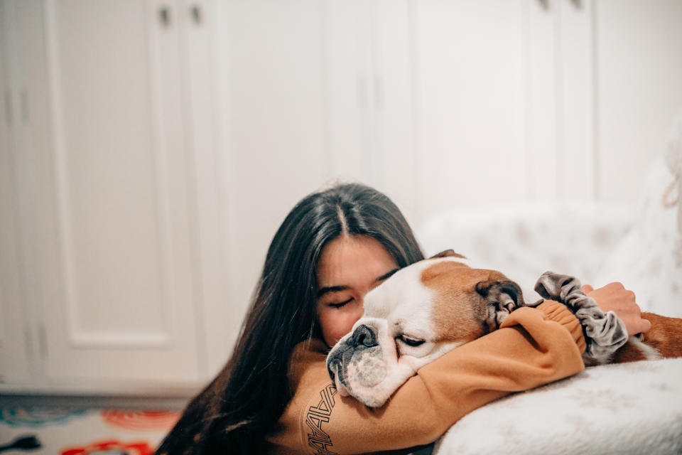 The uptake of remote vet consultations is likely to be popular as people stay home more during the coronavirus pandemic. Photo: Getty Images