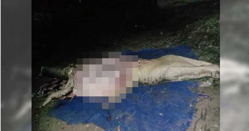 救難人員在鱷魚腹中發現人體的腐爛組織和遺骨。（圖／翻攝自推特）