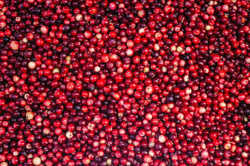 lots of cranberries