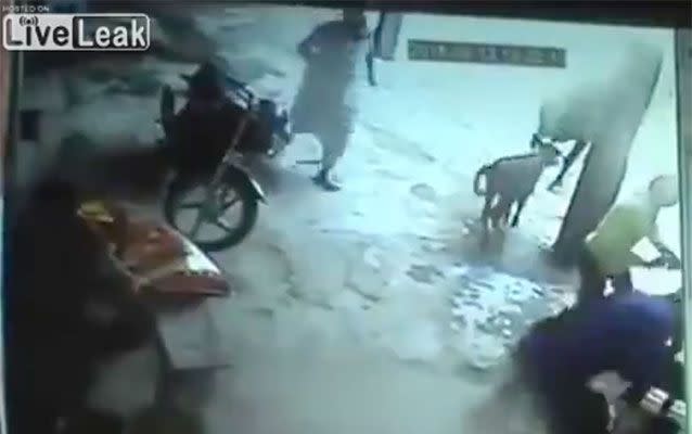 The attackers, right, assault the girl as a calf stands nearby and a third man, left, runs to save the victim. Photo: LiveLeak