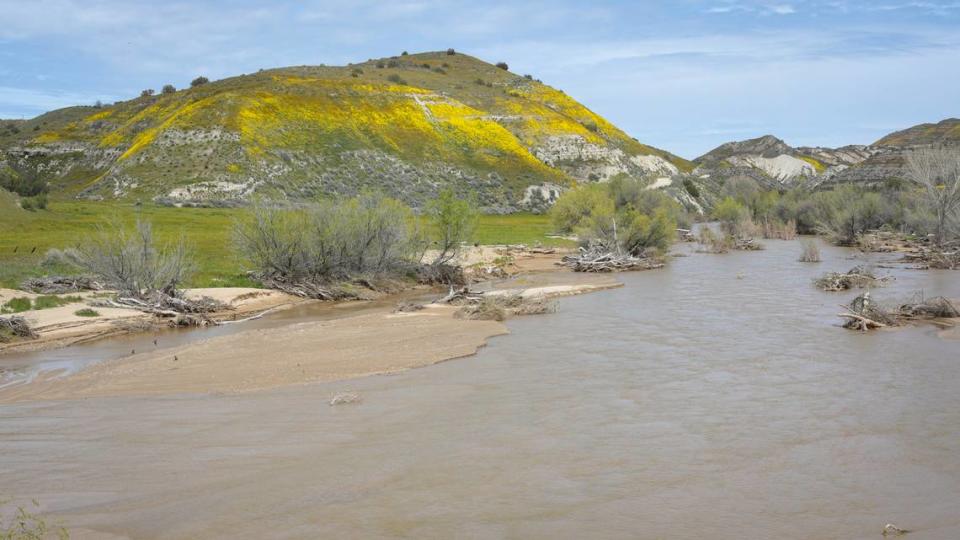 The usually sandy San Juan Creek is flowing with water west of California Valley. Wildflower fans turned out along Highway 58 on April 7, 2023. A series of drenching atmospheric river storms filled creeks and made for a solid wildflower season.