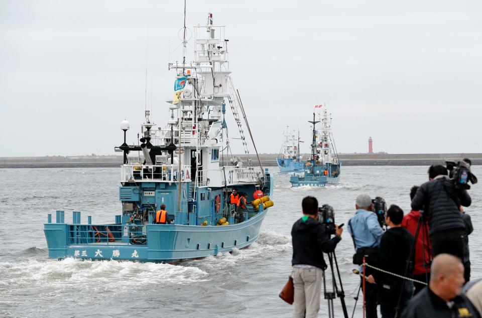 Japan resumed commercial whaling Monday after 31 years, meeting a long-cherished goal of traditionalists that's seen as a largely lost cause.