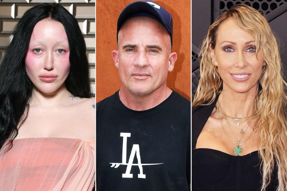 <p>Pascal Le Segretain/Getty; Bertrand Rindoff Petroff/Getty; Kayla Oaddams/WireImage</p> Noah Cyrus; Dominic Purcell; Tish Cyrus