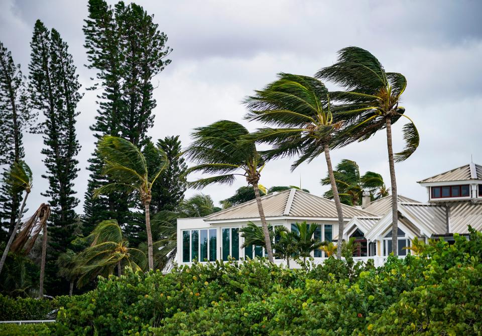 Trees whip as wind speed increases at the Naples Pier in Naples as Hurricane Helene passes the coast on Thursday, September 26, 2024.