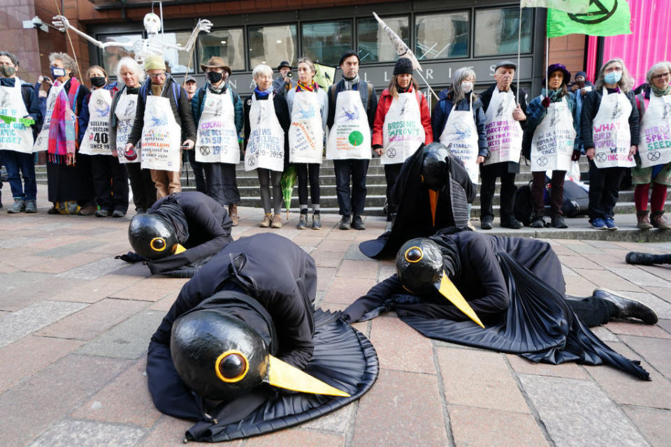 Protesters dressed as birds on the ground