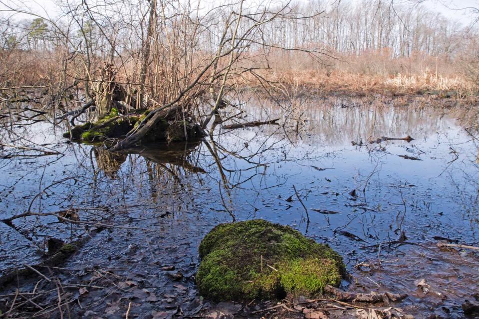 A panorama of a segment of Annette Billings' 8 acres of land is featured near Milford, Thursday, Feb. 22, 2024. Billings was facing an eminent domain case for her land that has been vacated.