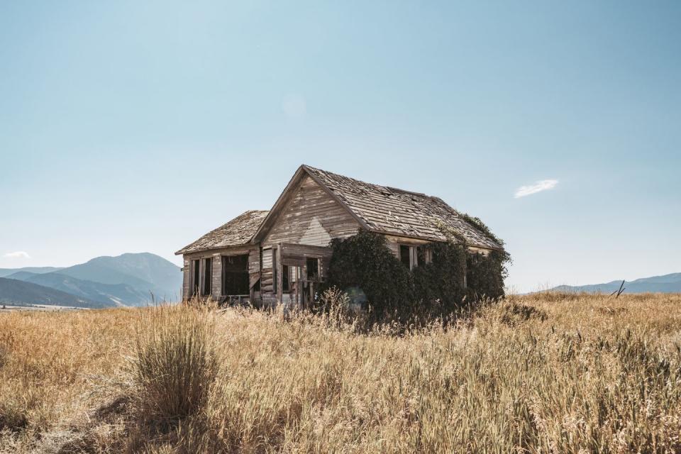 <p>A golden grassy field claims a former family home in the Wyoming mountainscape.</p>