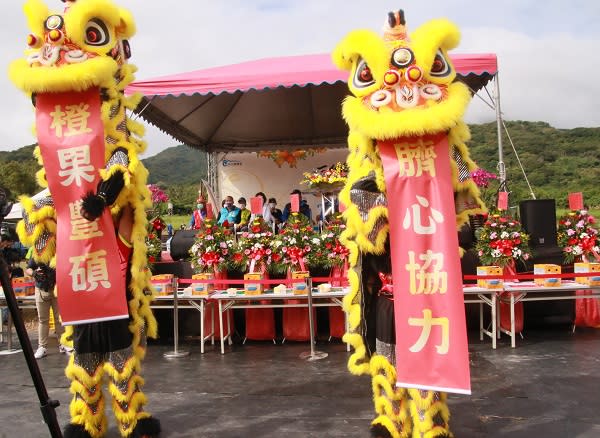 旗到成功20有橙　東海岸旗魚季臍橙節成功雙主場開幕