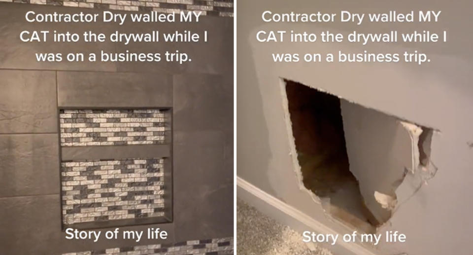 A photo of a renovated bathroom and another photo of a hole in the wall between that bathroom, which was made by a woman to free her cat from inside.