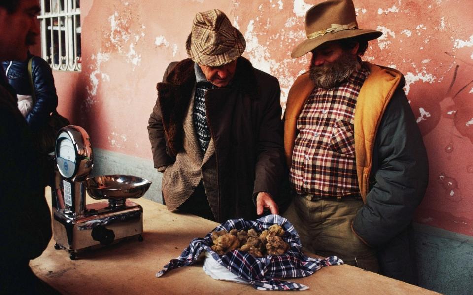 Truffle festival cultural events Italy autumn tradition equinox seasons european celebrations 2022 - Christopher Pillitz/Getty Images