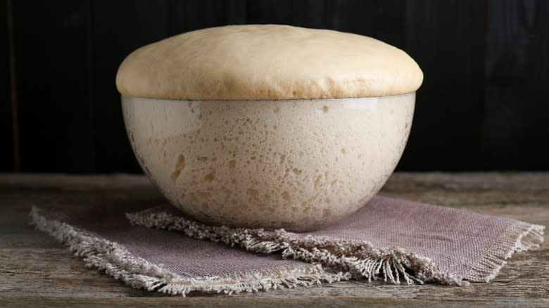 dough in bowl rising too much