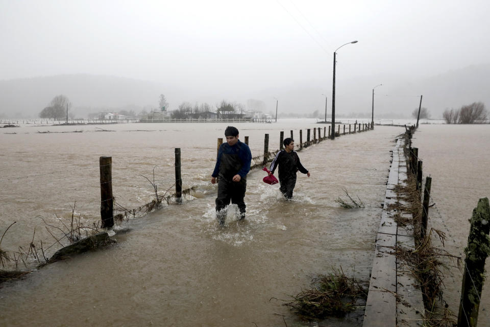 People wade through a flooded road after storms overflowed the Pichilo River, in Arauco province, Chile, Thursday, June 13, 2024. (AP Photo/Amilix Fornerod)