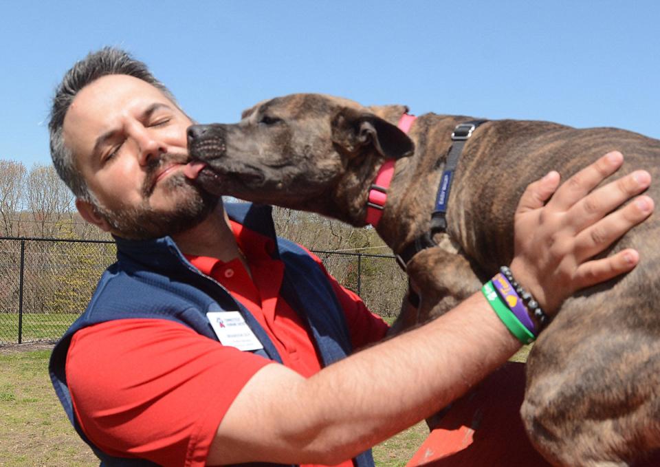 Brandon Guy, shelter manager at Connecticut Humane Society, gets a kiss from Lucy, a 1-year-old terrier/American pit bull mix, up for adoption Thursday at the facility in Waterford. May is National Pet Month.