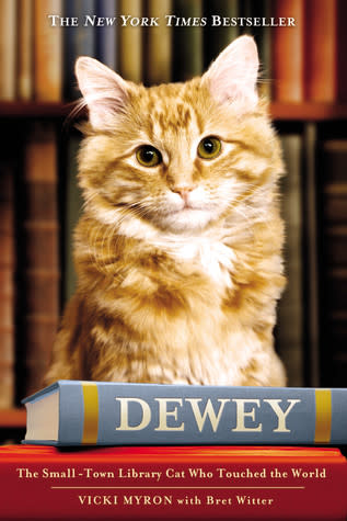 Dewey, the Small-Town Library Cat Who Touched the World