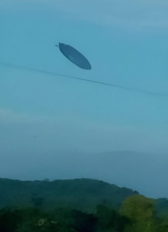 The couple said the UFO was heading toward nearby mountains. Jam Press