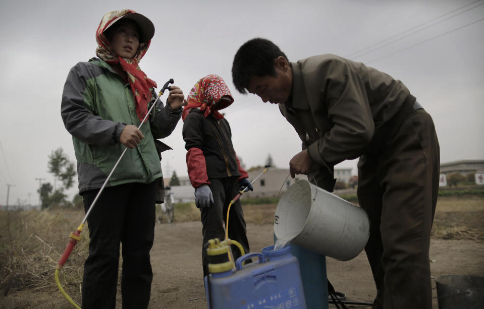 North Korean farmers (AP Photo/Wong Maye-E)