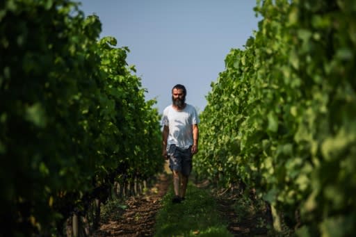 Sofrakis runs two properties and turns out a total of 20,000 bottles a year, almost a third of Sweden's total wine production