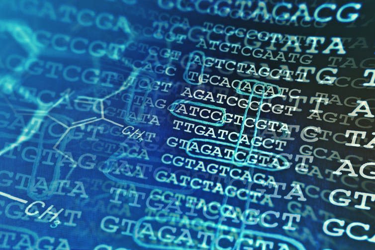 <span class="caption">Decoding athletes.</span> <span class="attribution"><a class="link " href="https://www.shutterstock.com/image-photo/dna-data-chemical-formula-science-concept-379320925?src=7QwC53w1kCA3rEzHlJROxQ-1-8" rel="nofollow noopener" target="_blank" data-ylk="slk:Shutterstock;elm:context_link;itc:0;sec:content-canvas">Shutterstock</a></span>