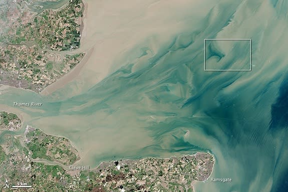 The London Array, the world's largest offshore wind farm, is located in the Thames Estuary, where the River Thames meets the North Sea. The satellite photo above is a closeup of the area marked by a white box in this image.