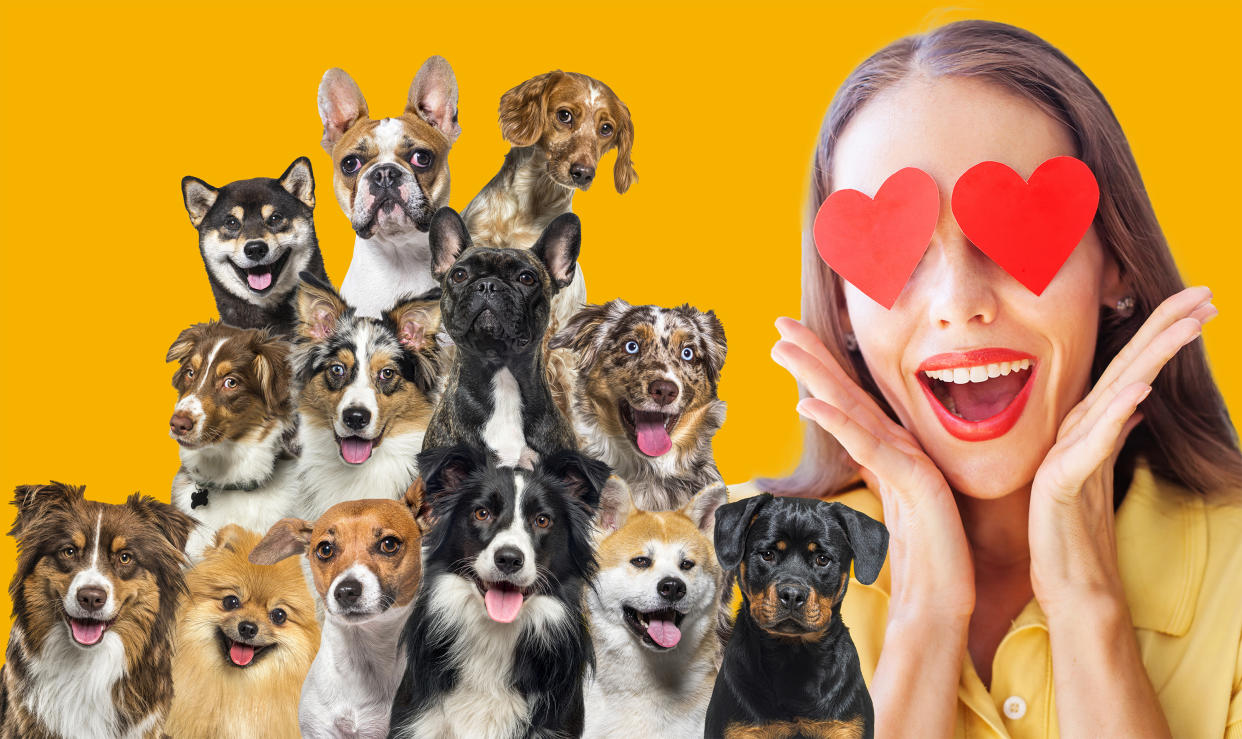 https://www.gettyimages.co.uk/detail/photo/bunch-of-dogs-looking-in-all-directions-on-dark-royalty-free-image/1434989047 https://www.gettyimages.co.uk/detail/photo/woman-with-the-hearts-instead-of-her-eyes-royalty-free-image/491516564