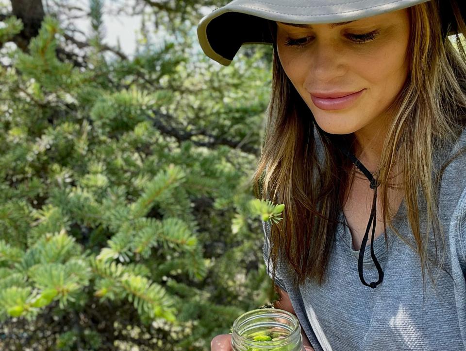 hilary foraging in a bucket hat in canada