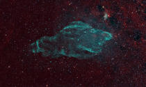 The W50 supernova remnant, shown in radio (green) against the infrared background of stars and dust (red), is being nicknamed the Manatee Nebula.