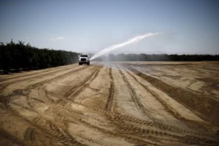 Trucks work on constructing a reservoir on Gless Ranch in Kern County, California, United States July 23, 2015. REUTERS/Lucy Nicholson