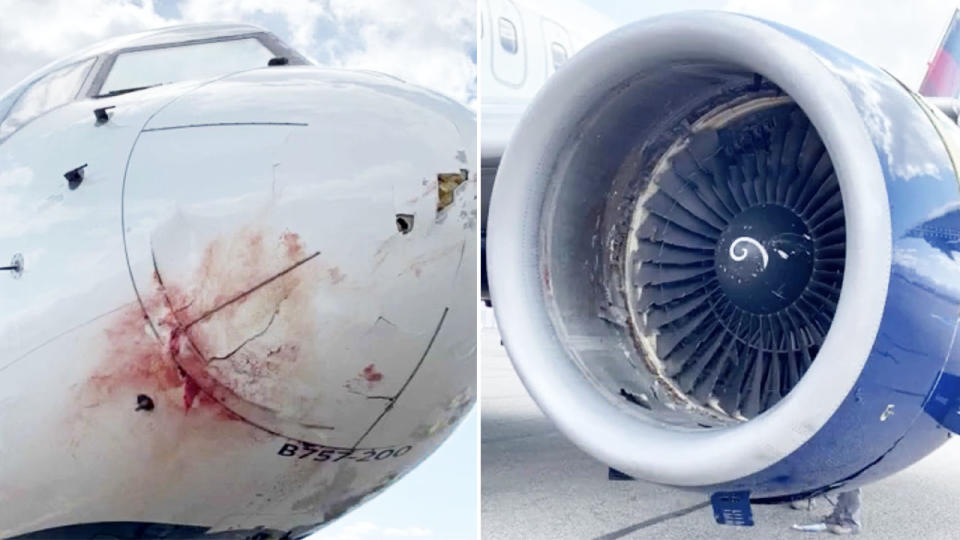 The nose and engine of the plane, pictured with with significant damage.