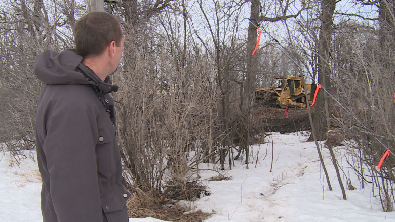 'They are irreplaceable': Winnipeg's Parker Lands trees shredded for rapid transit line