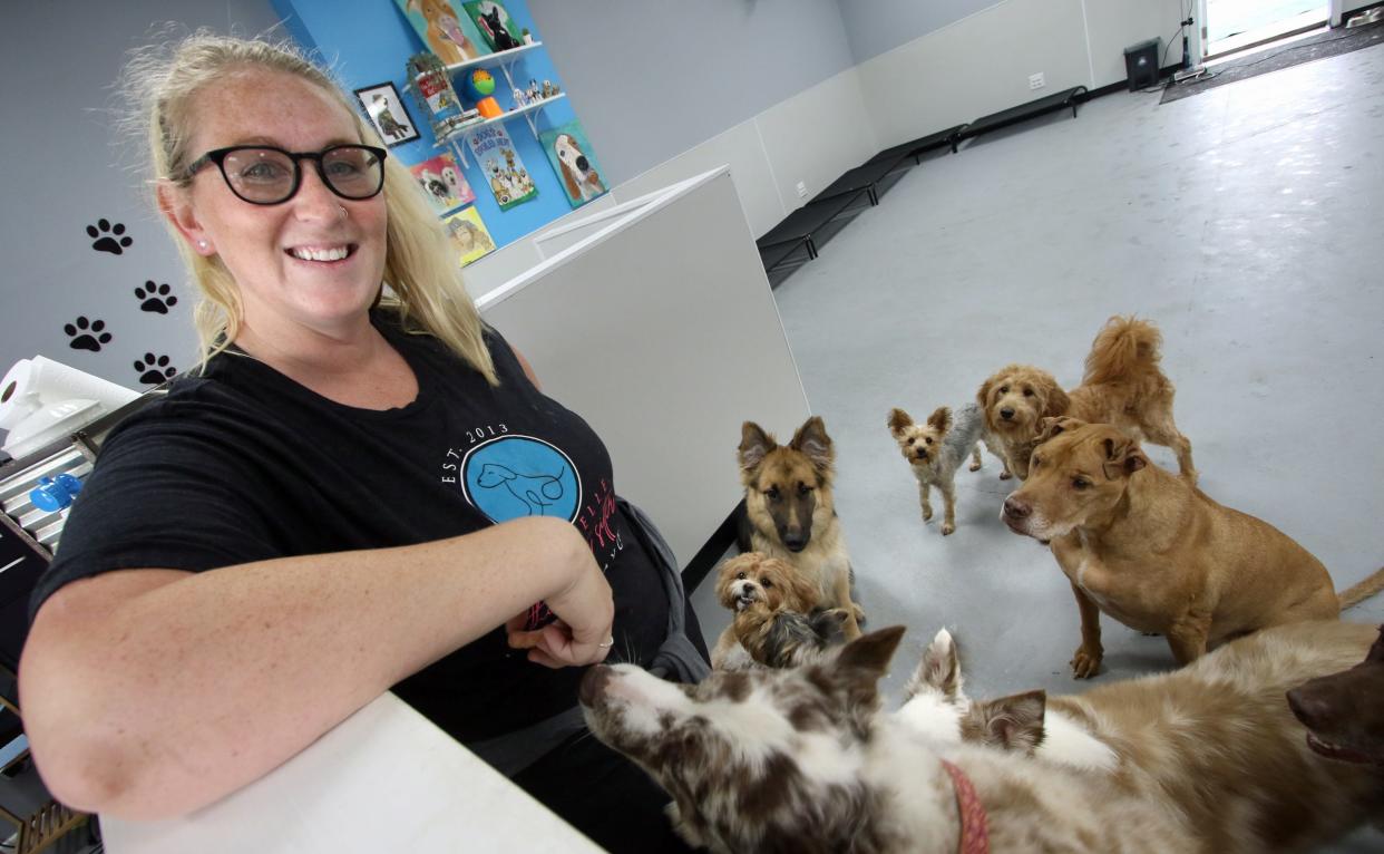 Owner Michelle Pichardo hangs out with the dogs she cares for Friday morning, June 23, 2023 at Michelle, The Critter Sitter Doggie Daycare on East Dixon Boulevard in Shelby.