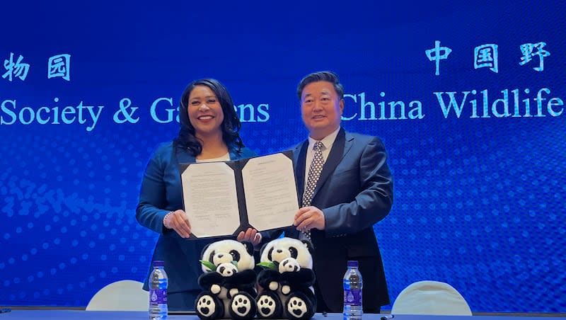 London Breed, left, Mayor of San Francisco and Wu Minglu, Secretary General of China Wildlife Conservation Association (CWCA) hold up an agreement to lease giant pandas for the San Francisco Zoological Society and Gardens during a signing ceremony in Beijing, Friday, April 19, 2024.