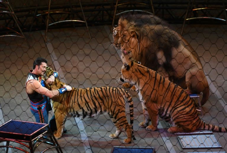 At a time when many circuses had abandoned animals in favor of athletic and artistic performances -- such as the Canadian group Cirque du Soleil -- Ringling Bros. clung to its animal menagerie