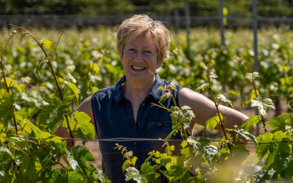 Barbara Laithwaite, owner of Wyfold Vineyard - Andrew Crowley/The Telegraph