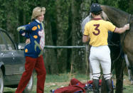 <p>Princess Diana cozied up in fun sweaters, like this jumper depicting a koala, while pregnant.</p>