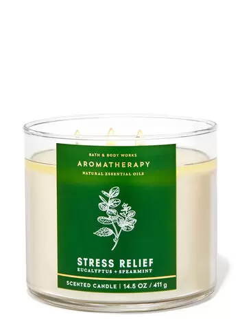 <p><a href="https://go.redirectingat.com?id=74968X1596630&url=https%3A%2F%2Fwww.bathandbodyworks.com%2Fp%2Feucalyptus-spearmint-3-wick-candle-026696251.html&sref=https%3A%2F%2F" rel="nofollow noopener" target="_blank" data-ylk="slk:Shop Now;elm:context_link;itc:0;sec:content-canvas" class="link rapid-noclick-resp">Shop Now</a></p><p>Eucalyptus Spearmint 3-Wick Candle</p><p>$10.95</p>