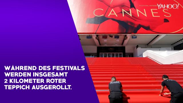 Die Filmfestspiele Von Cannes 10 Fakten Rund Um Die Goldene Palme 